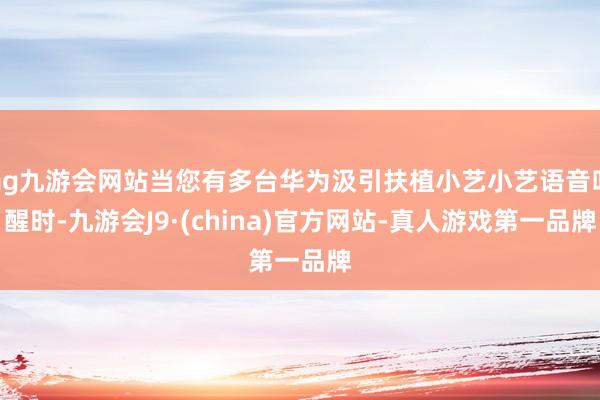ag九游会网站当您有多台华为汲引扶植小艺小艺语音叫醒时-九游会J9·(china)官方网站-真人游戏第一品牌