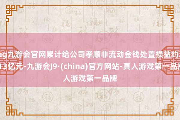 ag九游会官网累计给公司孝顺非流动金钱处置损益约3.13亿元-九游会J9·(china)官方网站-真人游戏第一品牌