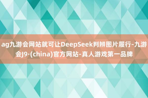 ag九游会网站就可让DeepSeek判辨图片履行-九游会J9·(china)官方网站-真人游戏第一品牌