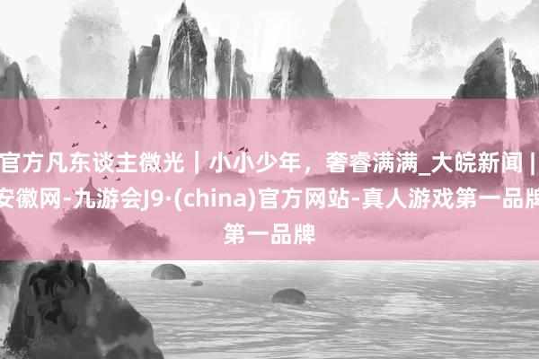 官方凡东谈主微光｜小小少年，奢睿满满_大皖新闻 | 安徽网-九游会J9·(china)官方网站-真人游戏第一品牌