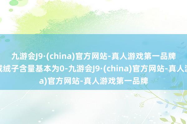 九游会J9·(china)官方网站-真人游戏第一品牌该批服装羽绒绒子含量基本为0-九游会J9·(china)官方网站-真人游戏第一品牌
