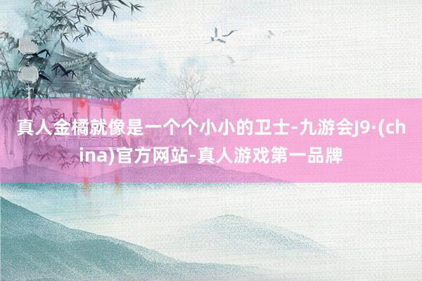 真人金橘就像是一个个小小的卫士-九游会J9·(china)官方网站-真人游戏第一品牌