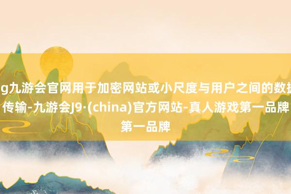 ag九游会官网用于加密网站或小尺度与用户之间的数据传输-九游会J9·(china)官方网站-真人游戏第一品牌