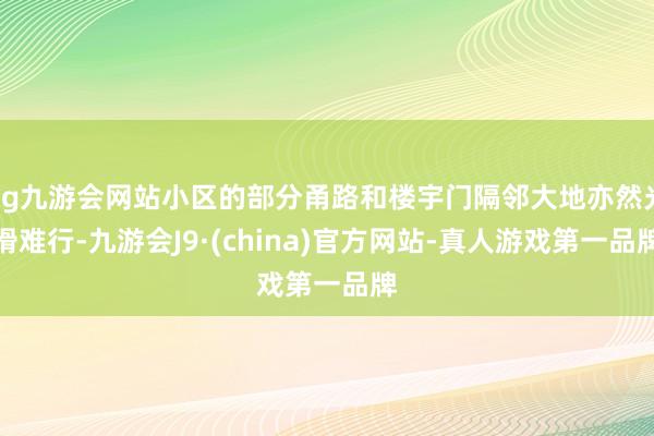 ag九游会网站小区的部分甬路和楼宇门隔邻大地亦然光滑难行-九游会J9·(china)官方网站-真人游戏第一品牌