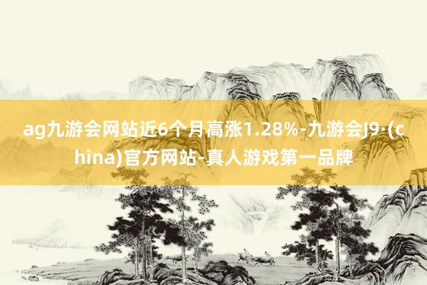 ag九游会网站近6个月高涨1.28%-九游会J9·(china)官方网站-真人游戏第一品牌