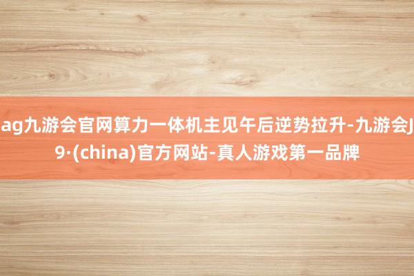 ag九游会官网算力一体机主见午后逆势拉升-九游会J9·(china)官方网站-真人游戏第一品牌