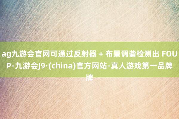 ag九游会官网可通过反射器 + 布景调谐检测出 FOUP-九游会J9·(china)官方网站-真人游戏第一品牌