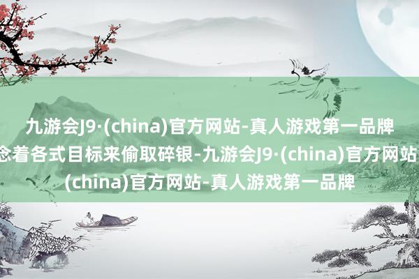 九游会J9·(china)官方网站-真人游戏第一品牌总有东说念主会念念着各式目标来偷取碎银-九游会J9·(china)官方网站-真人游戏第一品牌
