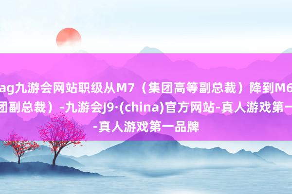ag九游会网站职级从M7(集团高等副总裁)降到M6(集团副总裁)-九游会J9·(china)官方网站-真人游戏第一品牌