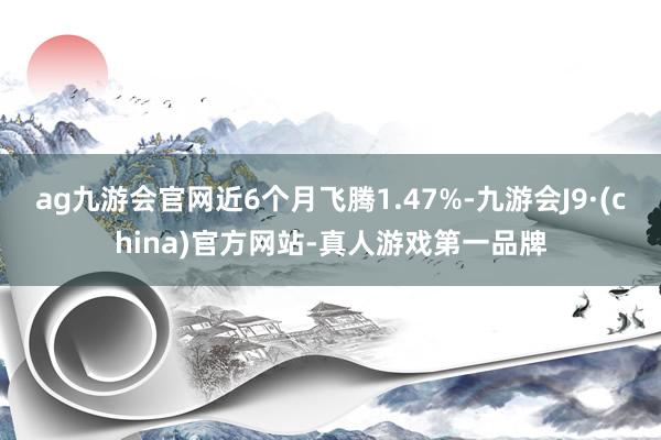 ag九游会官网近6个月飞腾1.47%-九游会J9·(china)官方网站-真人游戏第一品牌